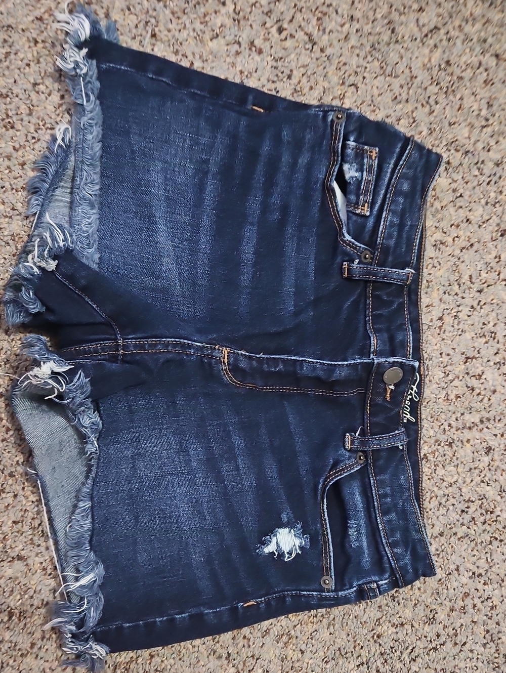 Universal Thread Dark Blue Frayed Hem Denim Shorts